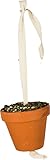 JR FARM Birds Tontöpfchen Großsittich & Papagei 260 g