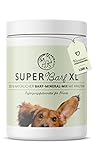 Annimally Barf Zusatz Pulver für Hunde 1 kg, Barf Complete Vitamine & Mineralien Mix für die optimale Nährstoffversorgung - Hund Mineralstoffe Futterzusatz mit Gemüse, Obst und Vitaminen