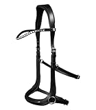 WALDHAUSEN Trensenzaum X-Line Gebisslos Sensation, VB, schwarz