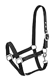 Start Economic Pferdehalfter – Verstellbares Nylon Halfter mit Nubuk-Polsterung & Karabinerhaken – Stallhalfter für Pferde (Cob, Schwarz)