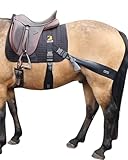 Equine Band System - Dressur Core Conditioning Trainingshilfe für Pferde mit Pro Grade Pferdephysiobändern und Dressurschabracke von Equine Balance Bands.