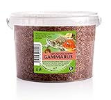 UGF - Premium Gammarus Bachflohkrebse Getrocknet - 318g im 3 Liter Eimer, Schildkrötenfutter, Fischfutter Aquarium, Axolotl Futter, Hamsterfutter, Igelfutter, Koi Futter, Rattenfutter