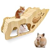 WPPQWP Hamster Haus aus Holz - Hamster Tunnel & Versteck für Zwerghamster, Rennmäuse & Degus (32 x 10,5 x 15,3 cm) - Stil 1