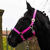 Pferdelinis Halfter Fohlen Halfter für Mini Shetty Halfter für Holzpferd - Fohlenhalfter 2-Fach verstellbar an Kinn- & Genickstück (Pink, Fohlen)