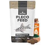 NatureHolic Plecofeed | Wels Futtertabletten | Fischfutter Aquarium | Premium Welsfutter Tabs für Saugwelse | Mit Ballaststoffen, tierischen Proteinen & Gemüse | Extra Harte Chips zum Abraspeln
