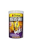 Tropical Discus Wild, 1er Pack (1 x 1 l)