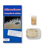 AQ4Aquaristik Lebendfutter - Mikrowürmer (Zuchtansatz auf Substrat im Becher mit Anleitung) - Lebendfutter für Fische im Aquarium - Mikroälchen