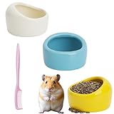 3 Stück Dreifarbige Hamster Napf Hamster Keramik Futterschalen, Schälchen Kleintiere Keramik Wassernapf für Meerschweinchen Rennmäuse papageien Vögel mit Reinigungsbürste