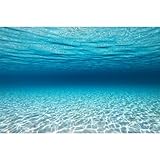 MIRRORANG 61x41cm Unterwasser-Thema Aquarium Hintergrund Blau Ozean Unterwasserwelt Aquarium Hintergrund Aquarium Hintergründe Kulisse