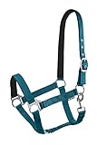Start Halfter Pferd – Stallhalfter & Weidehalfter für Pony, Vollblut, Warmblut – verstellbar & neoprengefüttert – Lined Halfter für Pferde mit Komfort & Passgenauigkeit (Petrolblau, Full (Warmblut))