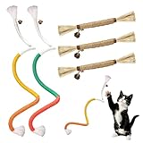 PDKKFF 2 Stück Kauspielzeug Katze und 3 Katzenminze Sticks, Katzenminze Spielzeug, Katzenbeißseil, Matatabi Stick Katze Katzenspielzeug für Spielspaß, Zahnpflege & Gegen Mundgeruch