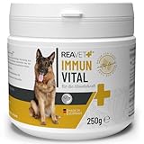 ReaVET Immun Vital für Hunde - Immunsystem & Abwehrkräfte stärken I Vitamine für Hunde, Aufbau Immunsystem, Nährstoffreich & mit Vitamin C, Mineralien, Multivitamin-Pulver 250g
