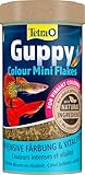 Tetra Guppy Colour Mini Flakes - Fischfutter für alle Guppys, feines Flockenfutter für kräftige Farben, 250 ml Dose