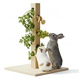 Mucola Nager Futterbaum mit Bodenplatte und Erdspieß – Futterstation Futterspender für Nager Kaninchen | Holz Futterbaum zum Aufhängen von Obst Gemüse Heu, Nagerzubehör Meerschweinchen Hamster