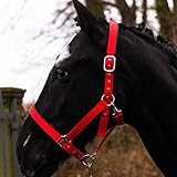 Pferdelinis Halfter für Warmblut, Vollblut, Kaltblut, Pony – Stallhalfter, Weidehalfter, 2-Fach verstellbare Dornschnallen, sicher & reißfest (Rot, Kaltblut)