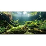 MIRRORANG 120x61cm Unterwasser Aquarium Hintergrund Seegras Wasserpflanze Hintergrund Flussbett & See Aquarium Hintergrund Vinyl Hintergrund