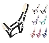 NETPROSHOP Solides Pferdehalfter gepolstert und verstellbar Gr. Mini Shetty bis Full u Kaltblut, Groesse:Mini Shetty, Farbe:Schwarz