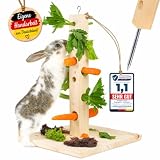Nagergaleria® Futterbaum Kaninchen Meerschweinchen mit Bodenplatte aus Holz und Erdspieß fürs Freigehege Hasen | Heuraufe Kaninchen