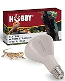 HOBBY Terraristik Elstein Strahler I IOT 75, 100 W I Keramischer Infrarot Dunkelstrahler zur Reptilien- und Insektenhaltung I Terrarium Wärmestrahler I langlebige Wärmelampe für Terrarien