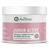 AniForte Junior Active für Welpen und Junge Hunde 250g - Für Knochen, Sehnen, Bänder, Zahn Entwicklung von Welpen & Junghunden. Puppy Ergänzung mit Kalzium, Vitaminen und Mineralien
