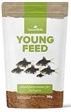 NatureHolic YoungFeed Softgranulat I Fischfutter Aquarium | Aufzuchtfutter für Zierfische I für EIN gesundes Wachstum I mit wertvollen Zusätzen I schonende Herstellung I Made in Germany I 50ml