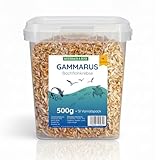 Meerbach&Rose Gammarus 500g im Eimer – Bachflohkrebse für Schildkröten, Kois, Teichfische & Aquarienfische – Natürliches proteinreiches Fischfutter – Getrocknete Bachflohkrebse Einzelfuttermittel