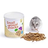 Niteangel Hamster-Snacks und Leckerlis Spielzeug - Natürlicher Leckerbissen für Zwerghamster, Syrische, Robo, Gerbils, Mäuse, Degus (Getrocknete Mehlwürmer - 30g)