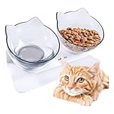 Edipets, Katzennapf erhöht, Einzel oder Doppel, Antischlingnapf, Erhöchte, für Hund und Katze (Transparent)