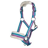 HKM Halfter Funny Horses, Pferdehalfter, Weide-, Stallhalfter, Shetty, 1 Stück (1er Pack)