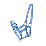 Start ILoveMyMini Reithalfter für Fohlen, verstellbar an Kinn- & Genickstück Fohlenhalfter, Halfter für Fohlen - Halfter für Mini Shetty Halfter für Holzpferd (Hellblau, Foal)