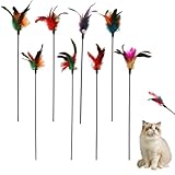 Hautllaif Katzenspielzeug Federangel 8 Stück – Bunte Katzenangel mit Naturfedern, Kurzer 40cm Gummistab, Interaktives Spielzeug für Katzen drinnen – Sicheres und langlebiges Katzenspielzeug für aktive