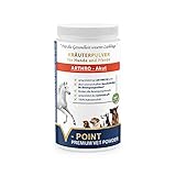 V-POINT ARTHRO Akut – Premium Kräuterpulver für Pferde bei Gelenkschmerzen und akuten Beschwerden, mit Teufelskralle, Ingwer, Hagebutte und Weidenrinde (500 g)