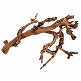 SAHAWA Weinrebe, Rebenholz, verästelt, sandgestrahlt, Verschiedene Größen, Terrarium Deko, Sitzstange, Vogelsitzplatz, Käfigzubehör, Floristik und Raumschmuck
