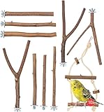 Vogelgaleria® 10er Natur Sitzstangen Set für Vögel inkl. GRATIS Schaukel und 3 Y Stangen für Wellensittich, Nymphensittich & Co