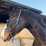 Pferdelinis Knotenhalfter für Bodenarbeit Pferd - Knotenhalfter Cob optimal für Freiarbeit, Bodenarbeit, Führ- oder Verladetraining (Warmblut (Full), Royalblau-Weiss)