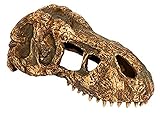 Exo Terra T-Rex-Schädel, sicheres Versteck für Reptilien und Amphibien, klein, 1 Stück (1er Pack)