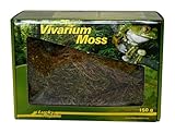 Lucky Reptile Vivarium Moos