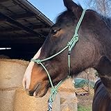 Pferdelinis Knotenhalfter für Bodenarbeit Pferd - Knotenhalfter Cob optimal für Freiarbeit, Bodenarbeit, Führ- oder Verladetraining (Pony, Grün-Weiss)