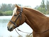 Barefoot Gebisslose Zäumung für Pferde – Bittless Bridle und Sidepull in einem – Weich gepolstert mit breitem Nasen-, Stirn- und Genickstück – ideal für Western, Englisch und Wanderreiten – braun