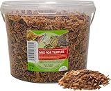 UGF - Universal Schildkröten Futter Mix - 500g im 3 Liter Eimer, Ausgewogenes Schildkrötenfutter, Gammarus, Seidenraupen, Mehlwürmer, Garnelen und getrockneter Fisch, Wasserschildkröten Futter