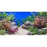 MIRRORANG 61x30cm Wasserpflanze Aquarium Hintergrund Stein Flussbett & See Aquarium Hintergrund Vinyl