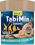 Tetra Tablets TabiMin - Tabletten Fischfutter für alle Bodenfische, z.B. Welse, Schmerlen oder bodengründelnde Barben, 120 Tabletten Dose