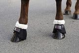Covalliero Springglocken Teddy Fleece schwarz Full