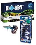 Hobby Liquizell - Startfutter - 50 ml