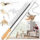 ROSAUI 2X Katzenangel lang, interaktives katzenspielzeug mit 2 Vogel und 3 Federn, Katzen Spielzeug für Kitten, cat Toys stabil 107cm