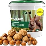 Orni Artgerechter Nüsse Mix für Eichhörnchenfutter 1kg | Futter für Eichhörnchen mit Haselnüsse, Walnüsse mit Schale für Eichhörnchen | Ganzjähriges Eichhörnchenfutter