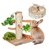 Relaxdays Kaninchen Spielzeug, 2tlg. Set, Nagerbaum & Intelligenzspielzeug, Holz, Zubehör Meerschweinchen, Hasen, Natur