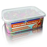 Söll TEICH-GOLD Futter-Flocken, 300 g - Ganzjahresfutter zum Füttern von Fischen im Teich, Gartenteich, zur Stärkung der Abwehrkräfte und vitale Teichfische