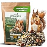 Natuverra Eichhörnchenfutter 1 kg | artgerecht & ausgewogenes Ganzjahres-Futter | Nussmischung mit Nüsse für Eichhörnchen & Streifenhörnchen | ideal fürs Futterhaus und Futterstation | mit Haselnüsse