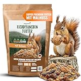 Natuverra Eichhörnchenfutter 600 g für Eichhörnchen & Streifenhörnchen I Ganzjahres-Futter Eichhörnchen, Streifenhörnchen Futter mit Walnüssen in Schale